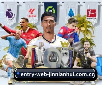 www.entry-web-jinnianhui.com.cn APP